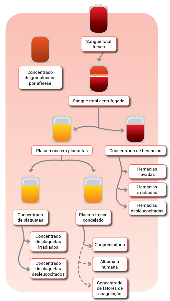 Produção de hemocomponentes