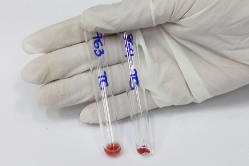 Teste de compatibilidade