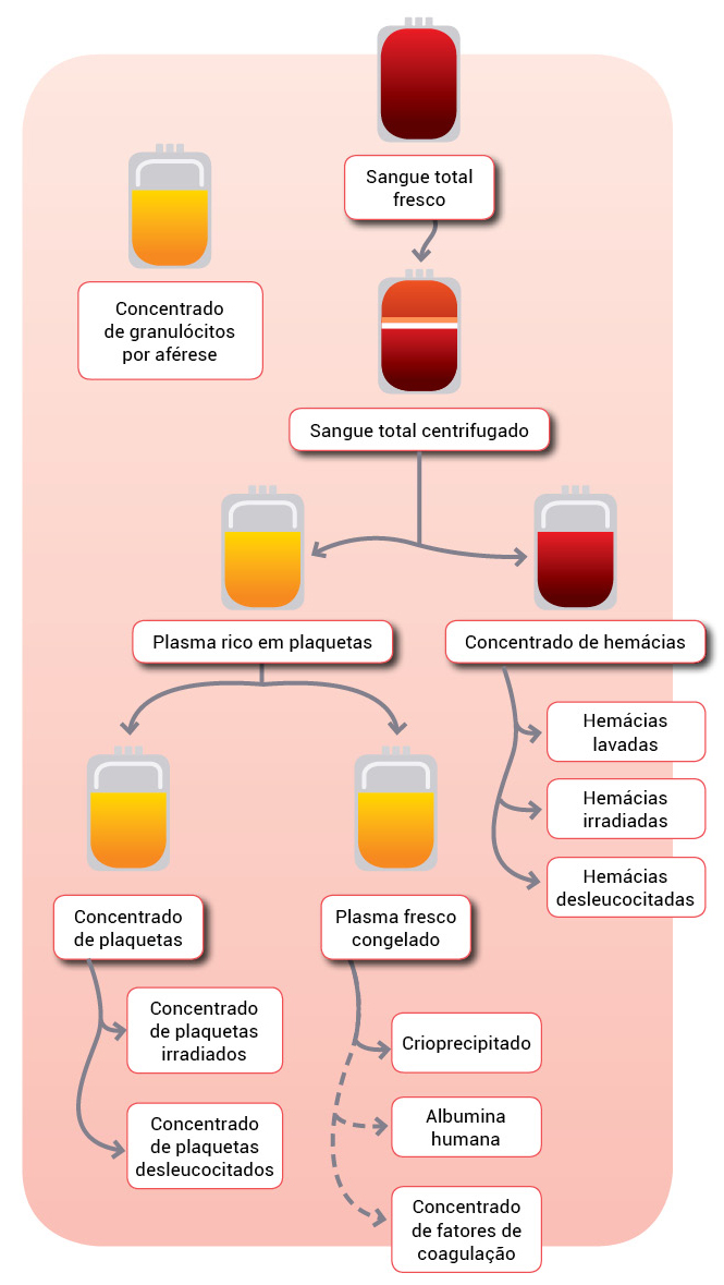 Exames imuno-hematológicos