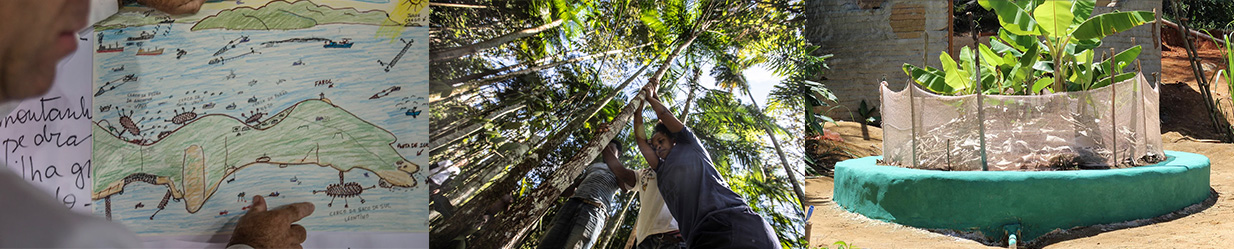 Cinco mulheres em roda, em pé, na mata. 