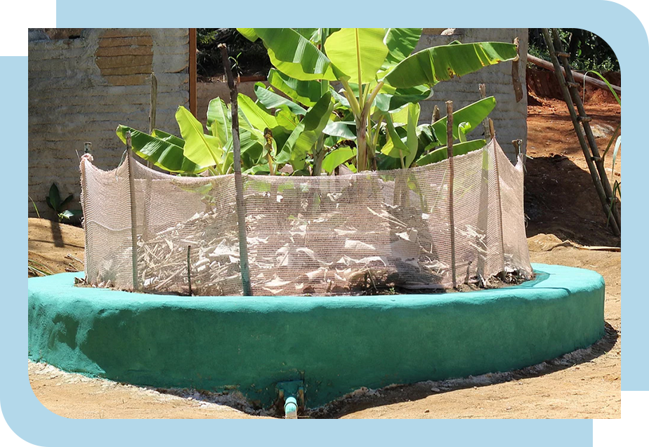 Tanque de evapotranspiração, também conhecido como fossa de bananeira. 