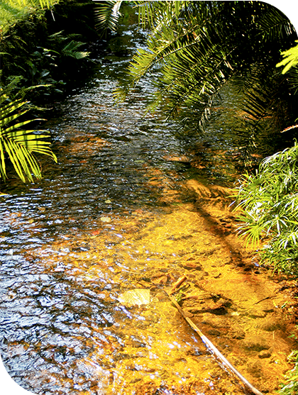 Fotografia representativa de água: um rio